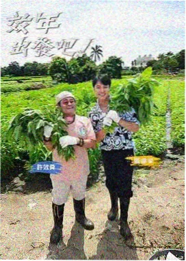 花影茶话